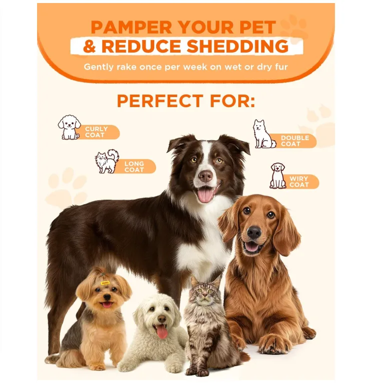 Double-Sided Steam Pet Brush, Rechargeable (PB-03)
