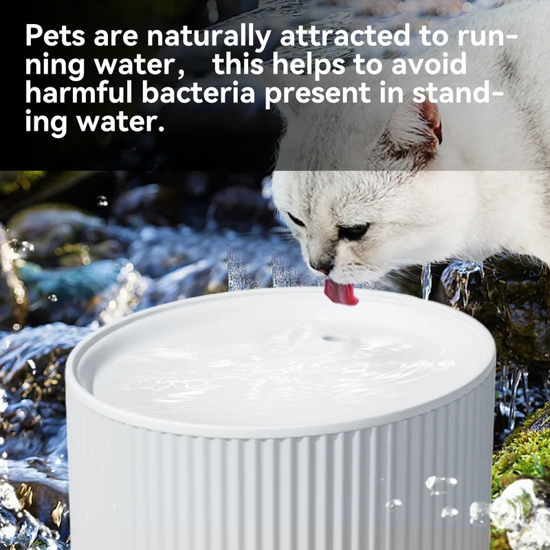 Wholesale Quiet Cat Water Fountain 2L with Carbon Filter