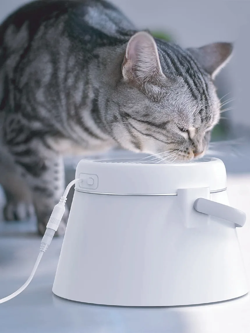 Cat Water Fountain with Stainless Bowl — 2.5L, Custom Colors