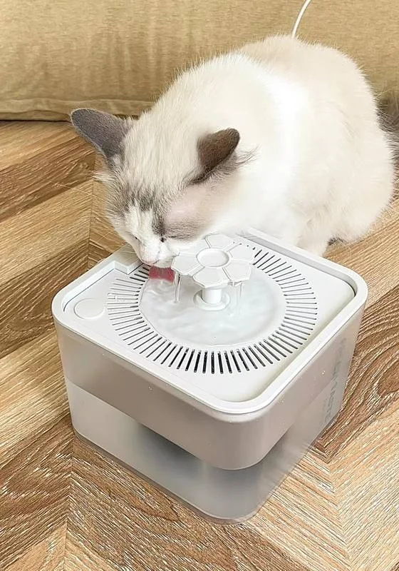 IR-Sensor Pet Water Dispenser 2.5L for Private Label