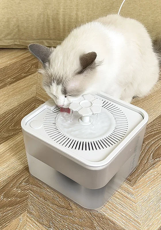 IR-Sensor Pet Water Dispenser 2.5L for Private Label