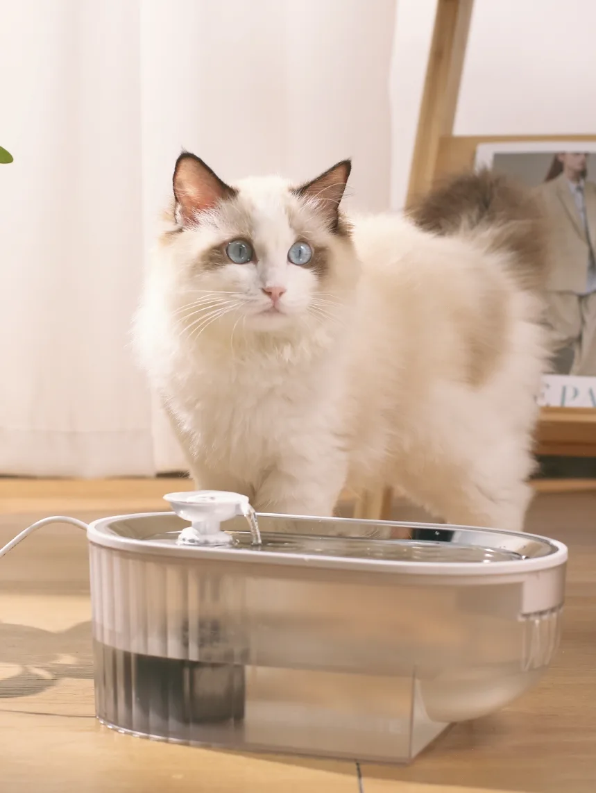 Cordless Cat Water Fountain 2.5L, 2200mAh Battery — Bulk - detail