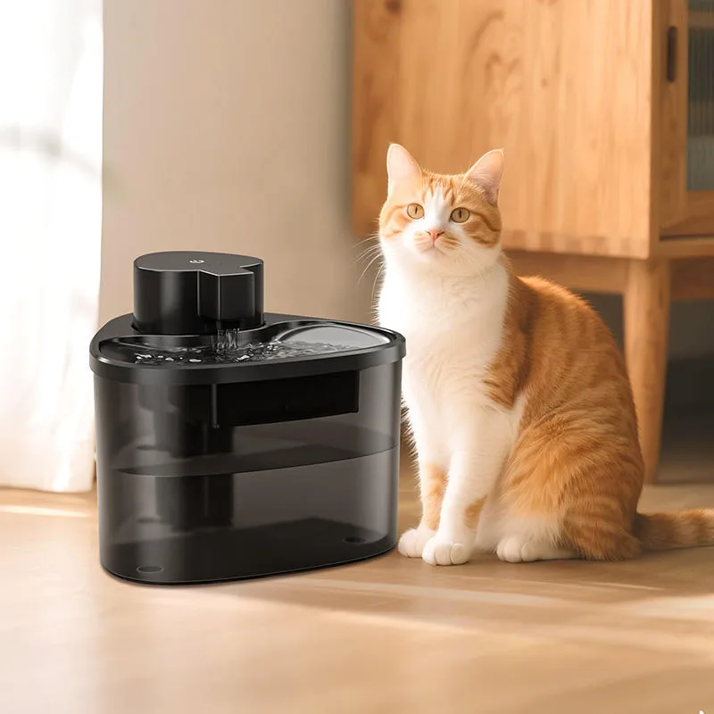 IPX5 Silent Pet Water Fountain 2L — Filter Circulation