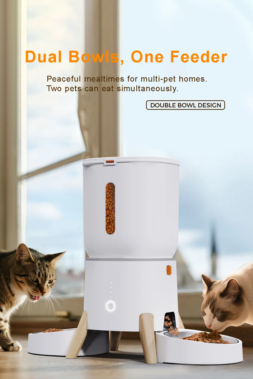 5L Smart Cat Feeder with Dual Stainless Bowls — Bulk MOQ 50 - detail