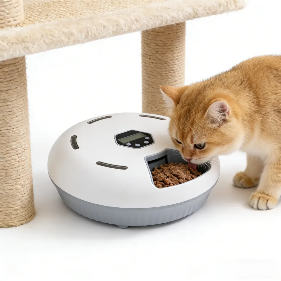Timed Wet-Food Pet Feeder 2L with Fresh-Keeping Mode — Bulk