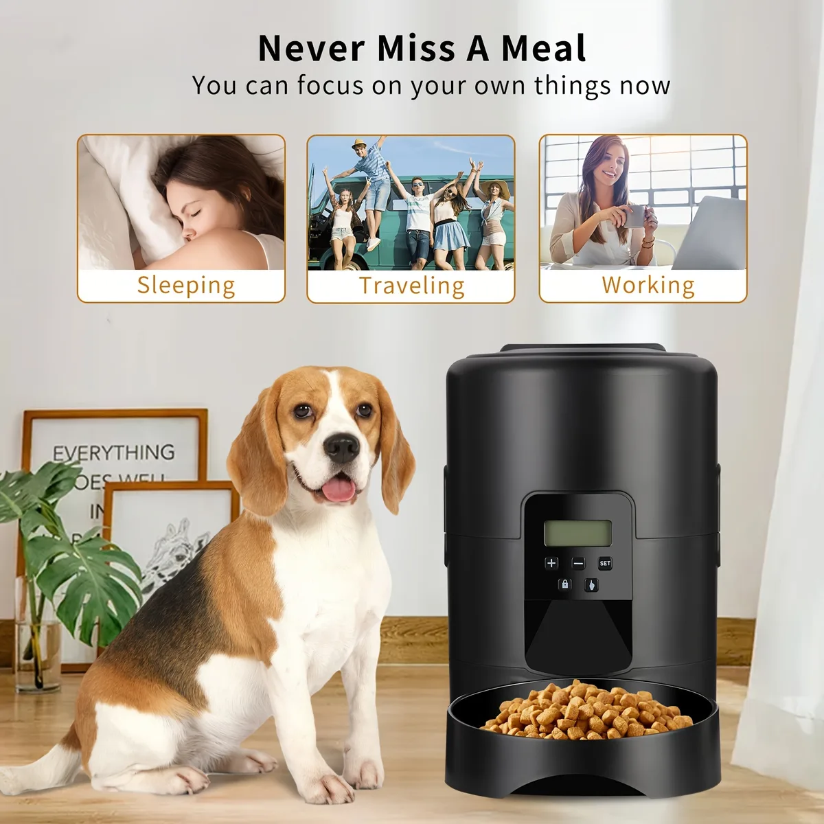 2L Programmable Cat Food Dispenser, Button-Control — Bulk Supply - detail