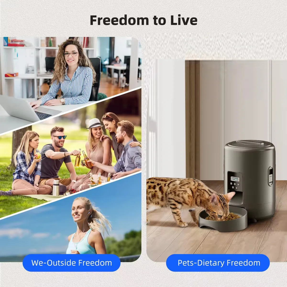 2L Programmable Cat Food Dispenser, Button-Control — Bulk Supply - detail