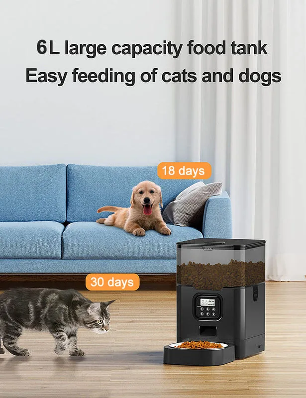 6L Voice Cat Feeder Packed 6 per Master Carton — Wholesale