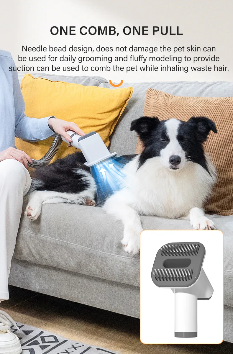 900W Pet Grooming Vacuum Dryer for Salon Retail (PG-05) - detail