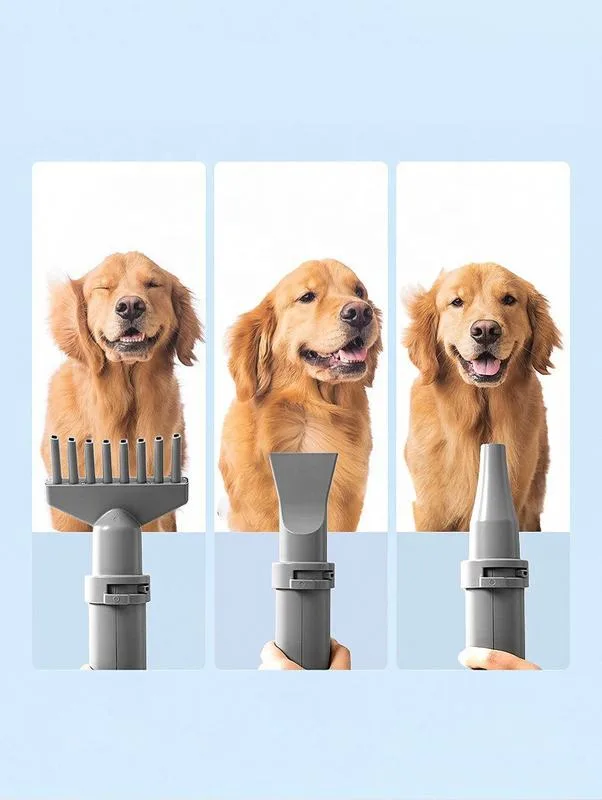 2000W Pet Hair Dryer with 3 Nozzles, Bulk (PG-10)