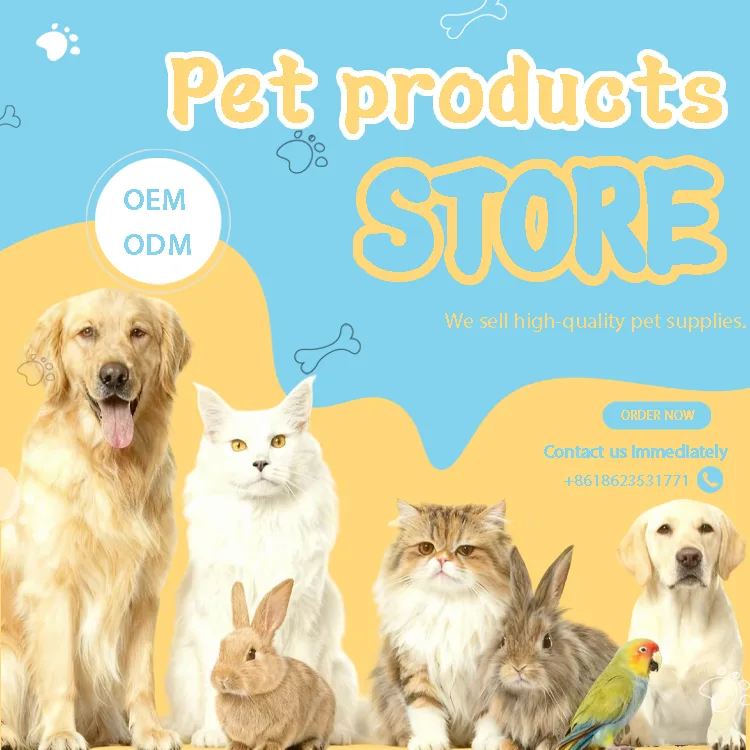 Motion-Activated Cat Feather Teaser Wholesale — 12-pc Start - detail