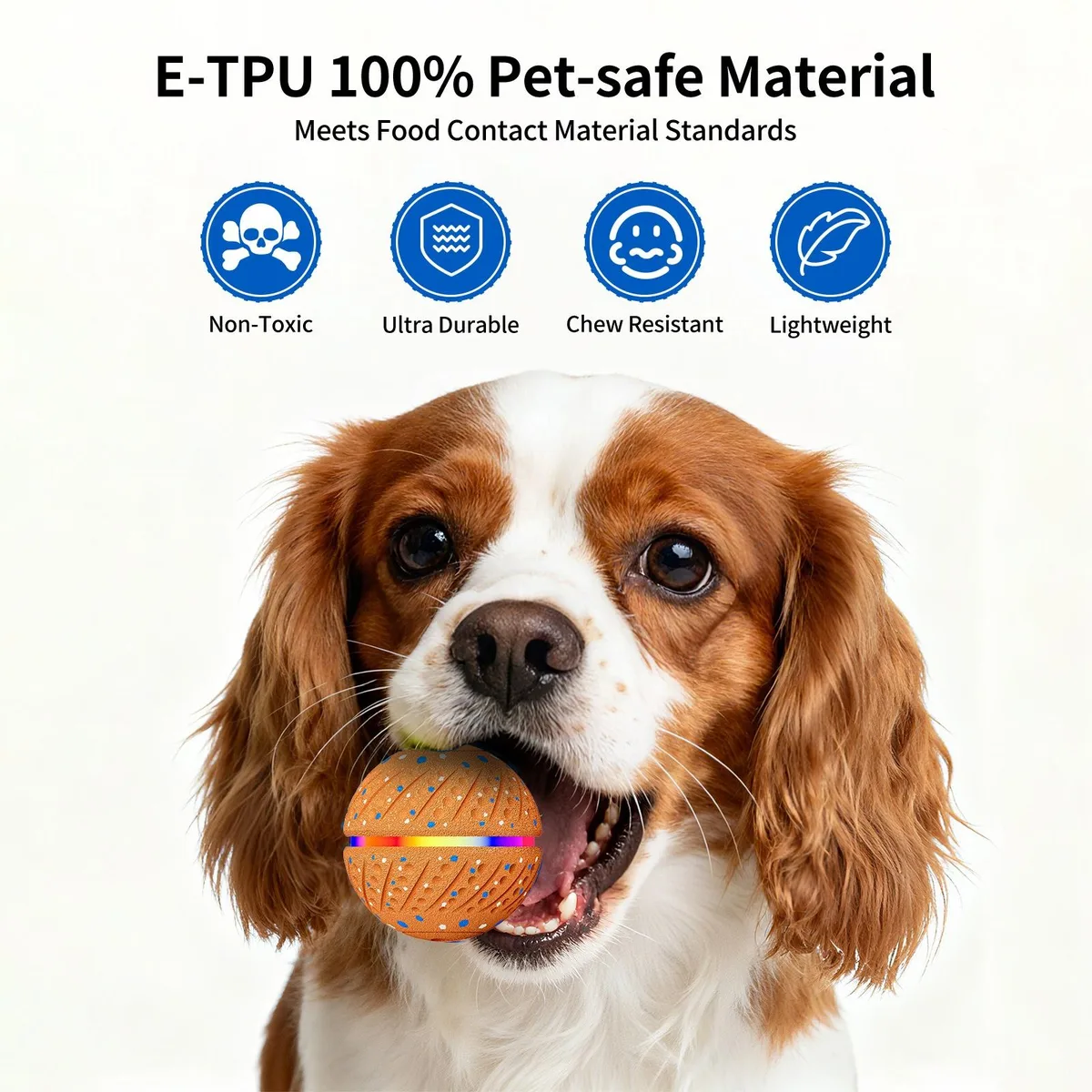 ETPU Smart Pet Ball with Remote — Wholesale & Custom Builds