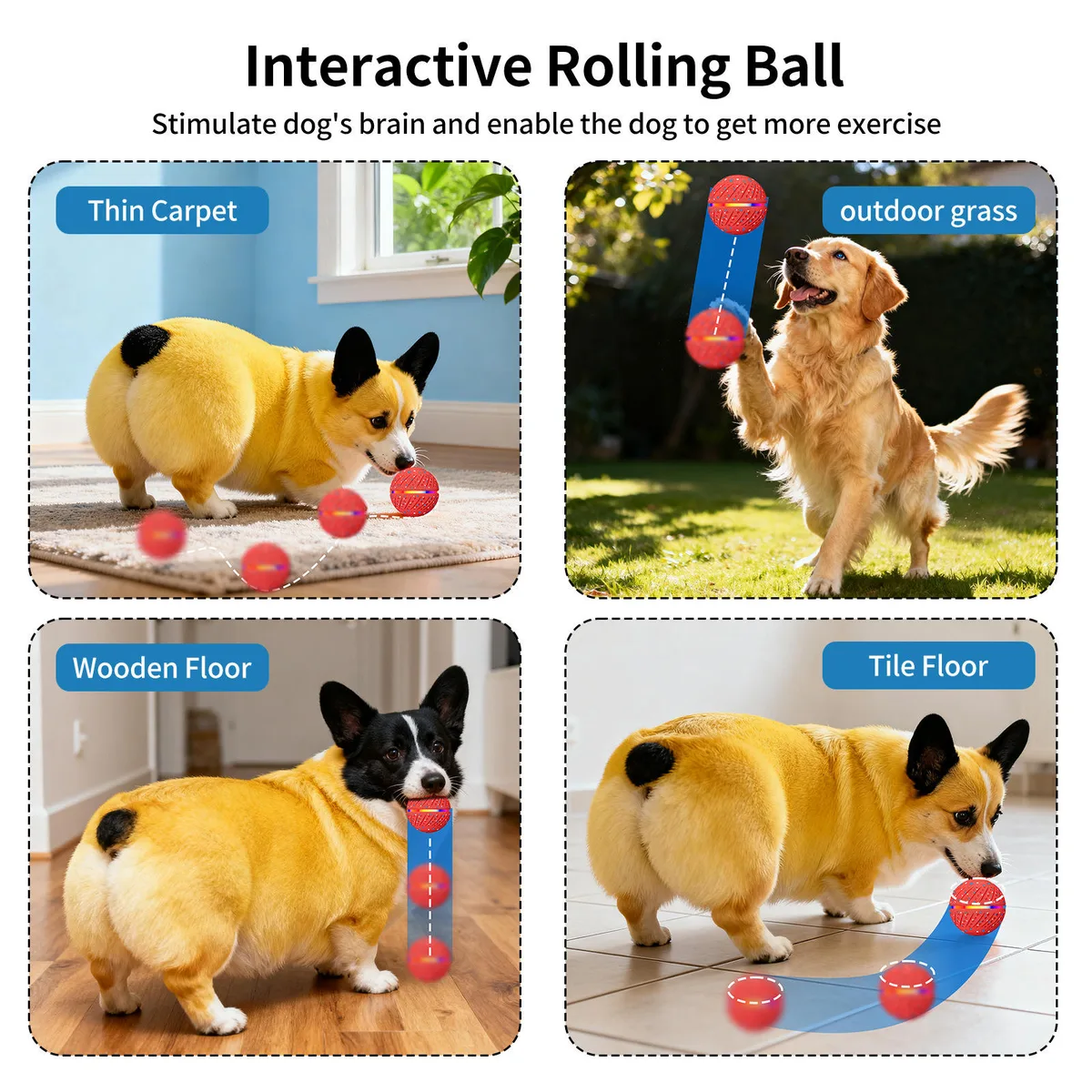 ETPU Smart Pet Ball with Remote — Wholesale & Custom Builds