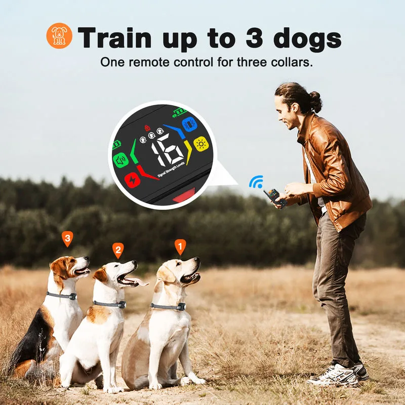 Dog Training Collar Wholesale — 800 m Remote, LED, 3 Channels - detail