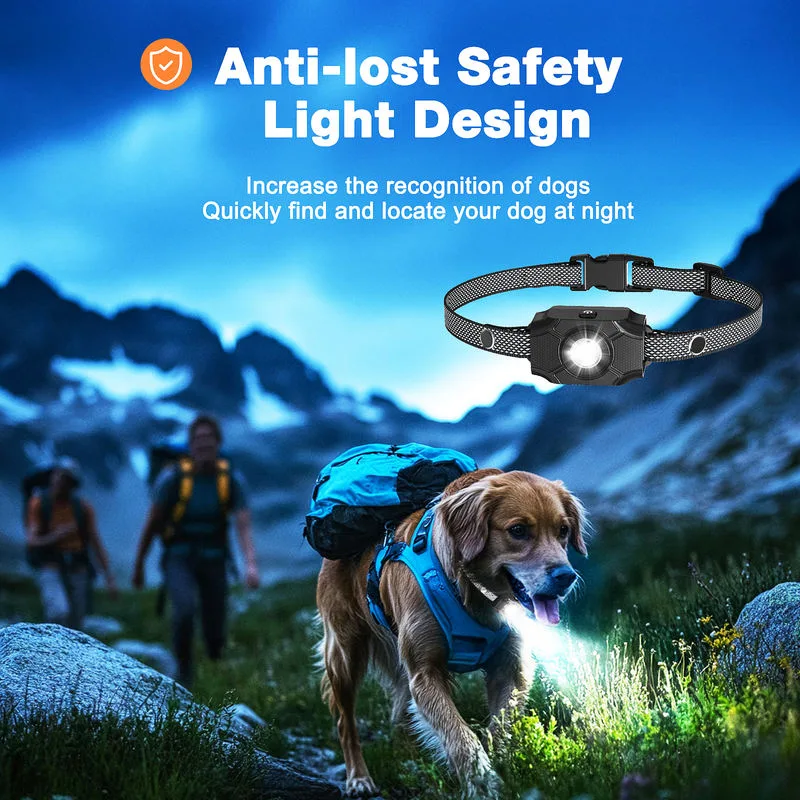 Dog Training Collar Wholesale — 800 m Remote, LED, 3 Channels