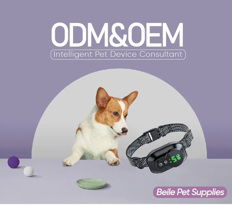 Dog Shock Collar IP67, 1600 ft Remote — Wholesale Stock - detail