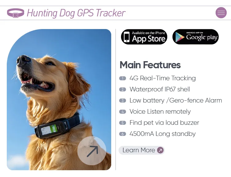 Dog Shock Collar IP67, 1600 ft Remote — Wholesale Stock - detail