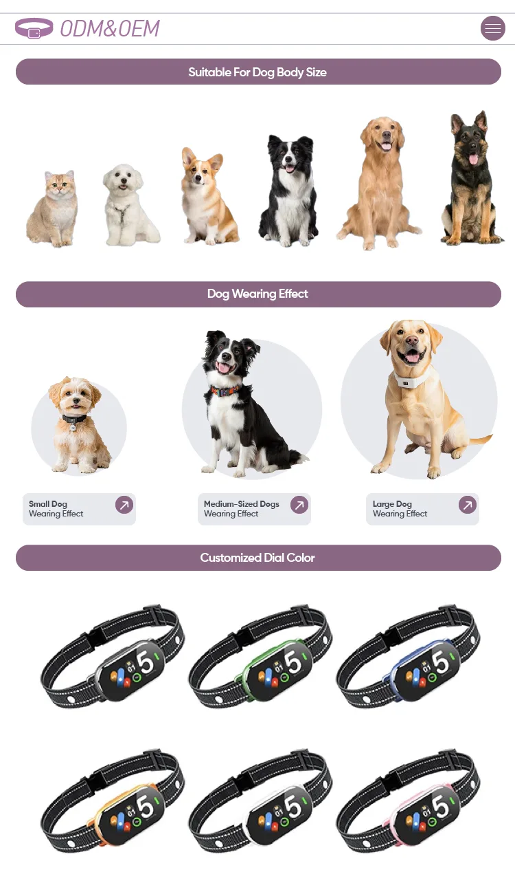 Dog Shock Collar IP67, 1600 ft Remote — Wholesale Stock - detail