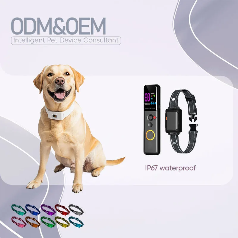 Dog Shock Collar IP67, 1600 ft Remote — Wholesale Stock
