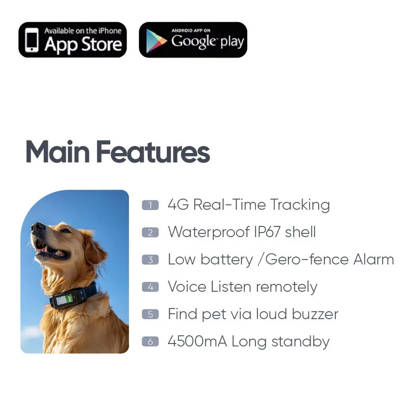 Dog Shock Collar IP67, 1600 ft Remote — Wholesale Stock