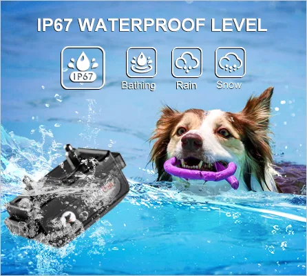 1000 m Electric Dog Training Collar — IPX7 Receiver, 3 Channels - detail