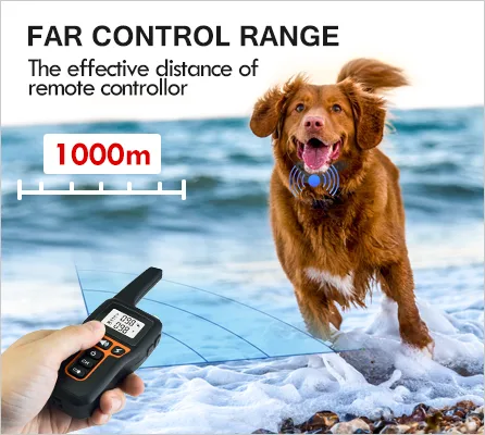 1000 m Electric Dog Training Collar — IPX7 Receiver, 3 Channels - detail