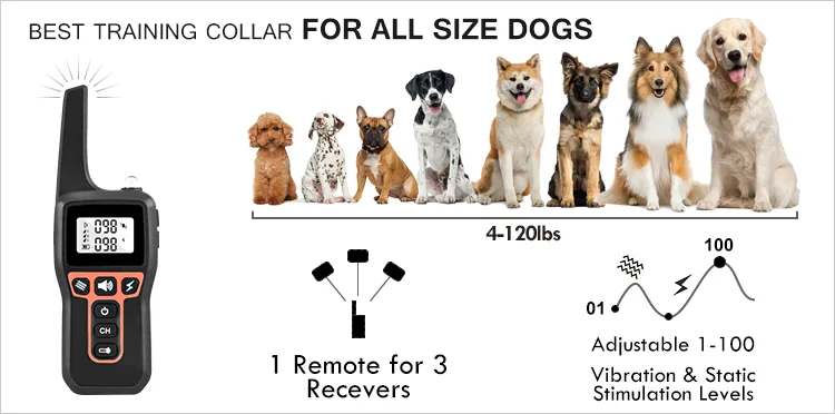 1000 m Electric Dog Training Collar — IPX7 Receiver, 3 Channels - detail